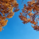 농구장 옆 횡단보도 이미지