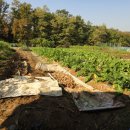 동남농장 이미지