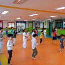 백석아이스타 태권도장 이미지