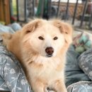 의구농장 이미지