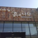 흙과 나무 이미지