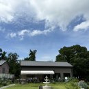 느띠 | 모악산 카페 느띠 꽃분수 동화속 카페 유럽 감성