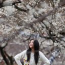 개화마을 이미지