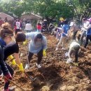 방현농장 이미지