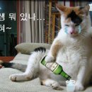 복 이미지