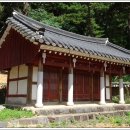 강진10호 이미지