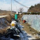 샐러리하우스