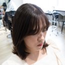 강남헤어 네이버블로그