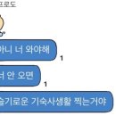 수원-0613 이미지