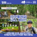 [인천둘레길 1코스] 봄철 서울 근교 트레일러닝 성지 발견! 계양산 둘레길