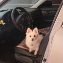 다우리팬션 이미지