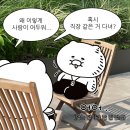 서촌 | 2024. 10 월말정산