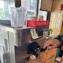 세광양대창 아산점 이미지