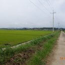 용동1리 이미지