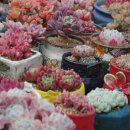 민경공방 이미지