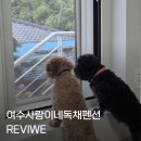사랑이네 | [여수 숙소] 대가족+반려견 2마리 다 함께 다녀온 '사랑이네 독채펜션' 내돈내산 솔직 투숙 후기