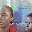 토리(Tori) 이미지