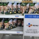 온기스토어