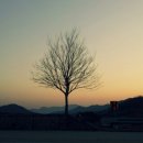 로운트리 네이버블로그