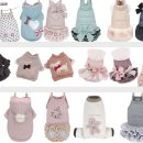 동물병원 퍼피하우스 이미지