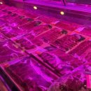 송천식당 이미지