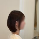 정자역 미용실 &#34;헤어서보&#34; 단발 레이어드 커트 후기 / 아름 디자이너