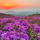 황매산국민여가캠핑장 이미지