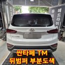 덴트베스트칼라