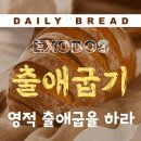 용봉동 20-8 이미지