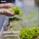 파장천로 39 | 수원시 장안구 파장동 맛집 제철쌈밥 리뷰추천메뉴가격주차영업시간