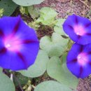 머믄자리 이미지