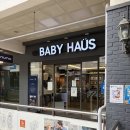 T-매니저 | 싸이벡스 클라우드T 트래블 시스템 바구니 카시트 구입 내돈내산 후기