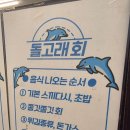 돌고래회