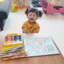 샬로미 이미지