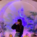 [포항 이동 워너디(wanna-D)] 인테리어가 감각적인 신상 디저트 카페 :)
