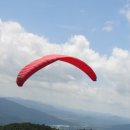 부림체육관 이미지