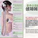 링 에스테틱 네이버블로그