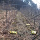 은봉농장 이미지