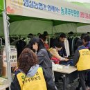 임실농협 하나로마트 이미지