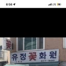 유정화원 이미지