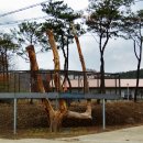 생명의집 이미지