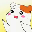 하늘본닭 이미지