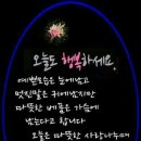 금 강  1 이미지