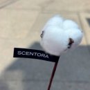 메타메디 | [홍대/놀거리]홍대 놀기 코스(메타타코메디클럽 토욜 후기)