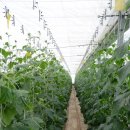 웅포농장 이미지