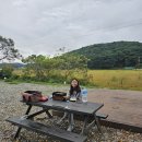 태안전자 | 태안 캠핑장 추천 안면도 힐링캠핑장 후기