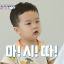 진안흑돼지농장 이미지