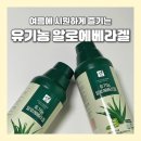알로에 - 수성구 | 먹는 알로에, 직접 마셔본 유기농 알로에겔 후기