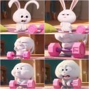 바레 | [아워바레&amp;필라테스]익산바레/필라테스 후기