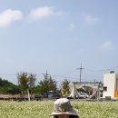 샤방샤방 이미지